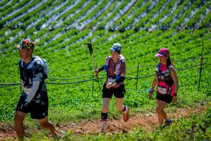 BIB: 1400
                            <button type="button" onclick="openModal(19164705)" class="btn btn-primary btn-sm float-right btn-popup" data-toggle="modal" data-target=".modal-high-quality">
                        <i class="fas fa-shopping-cart"></i> Add to Cart
                    </button>
                                            <button type="button" onclick="isThisMe(19164705, true)" class="btn btn-success btn-sm float-right btn-popup btn-isme hidden" data-toggle="tooltip" data-placement="bottom" title="นี่คือรูปของคุณใช่ไหม คลิกที่นี่เพื่อเอาเข้าอัลบั้ม">
                        <i class="fas fa-plus"></i> Add to album
                    </button>
                    <button type="button" onclick="isThisMe(19164705, false)" class="btn btn-warning btn-sm float-right btn-popup btn-isnotme hidden">
                        <i class="fas fa-ban"></i> Remove from album
                    </button>